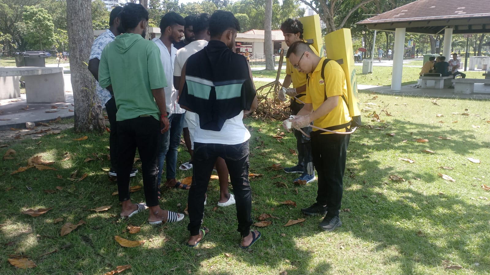 Lipton activation