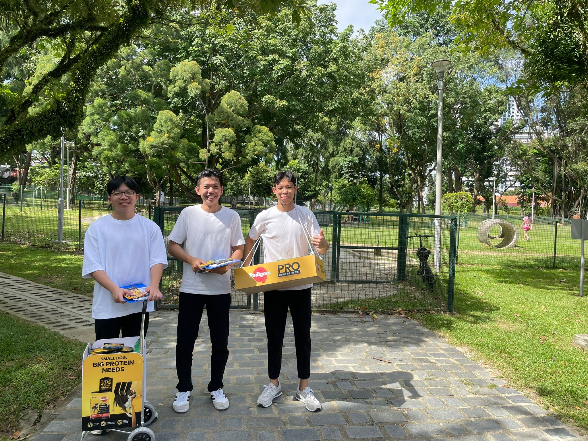 Digital and outdoor activation